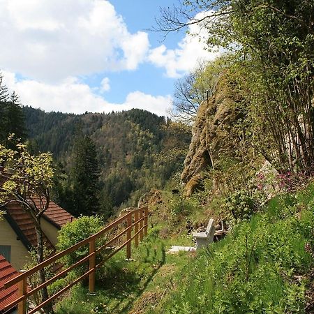 Villa Haus Am Waldrand Triberg im Schwarzwald Exterior foto