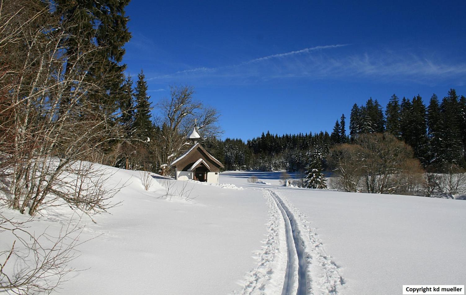 Villa Haus Am Waldrand Triberg im Schwarzwald Exterior foto