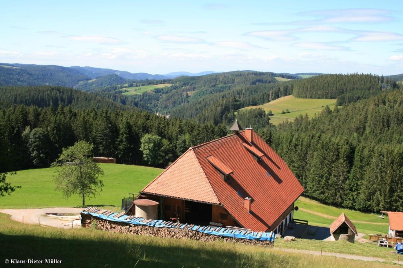 Villa Haus Am Waldrand Triberg im Schwarzwald Exterior foto
