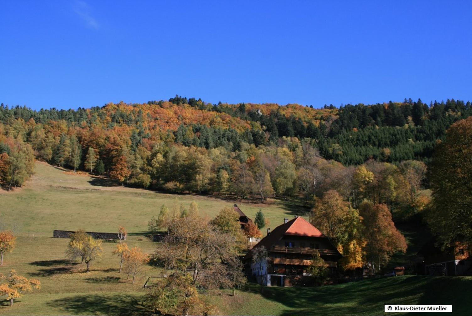 Villa Haus Am Waldrand Triberg im Schwarzwald Exterior foto
