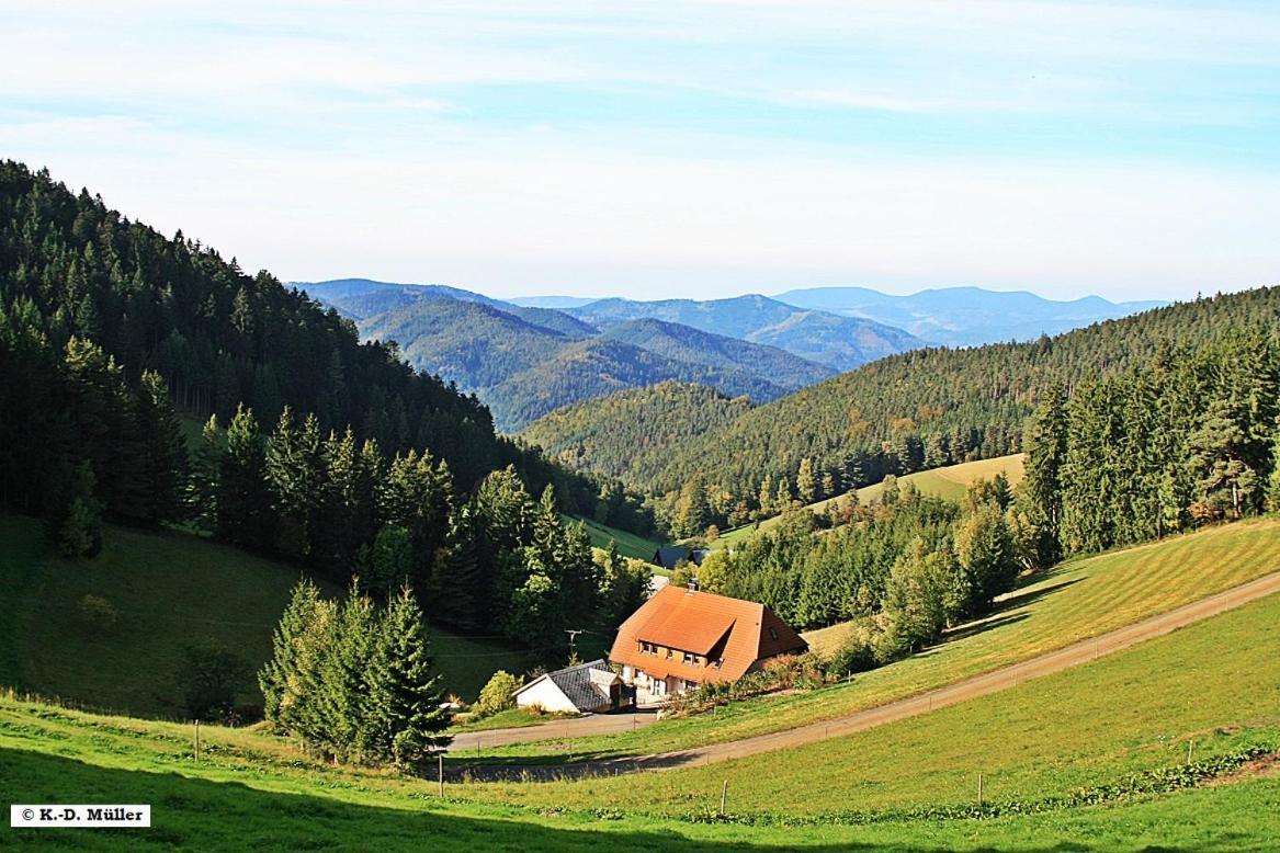 Villa Haus Am Waldrand Triberg im Schwarzwald Exterior foto
