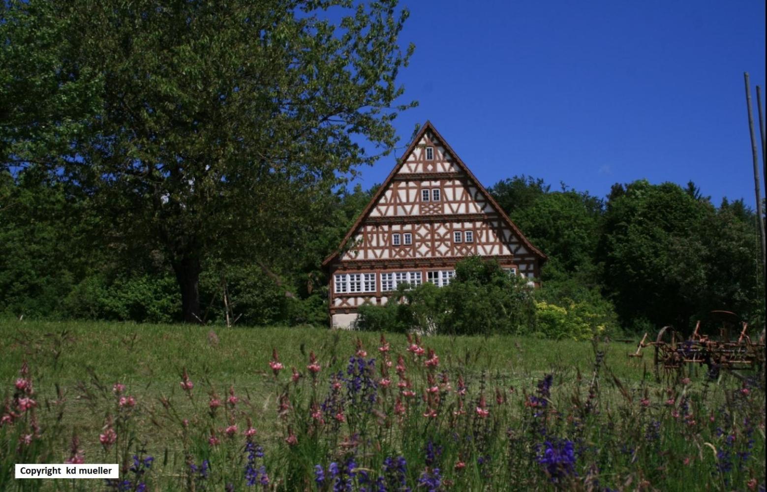 Villa Haus Am Waldrand Triberg im Schwarzwald Exterior foto